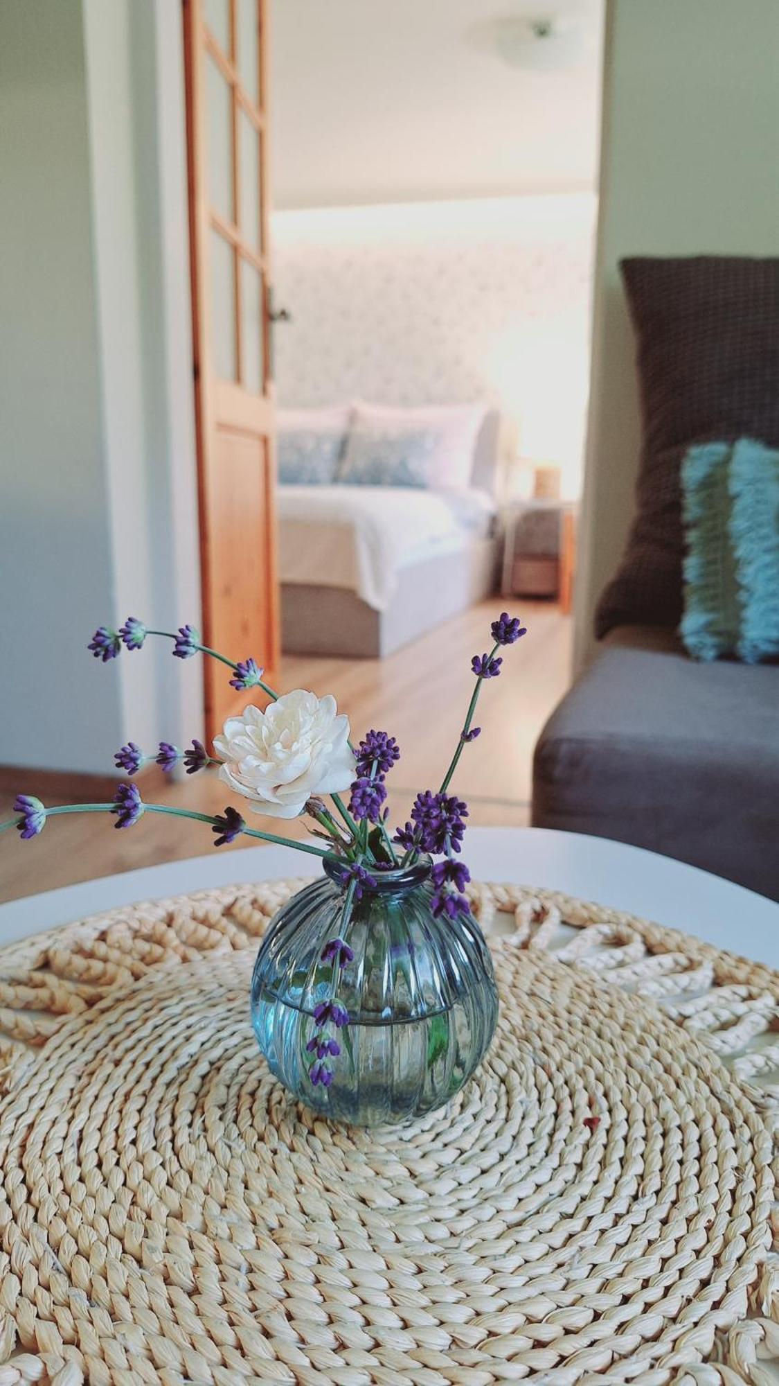 Apartment Jelenia *